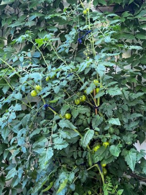IMG_9159.jpeg