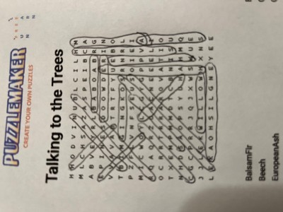 TreesAnswer.jpg